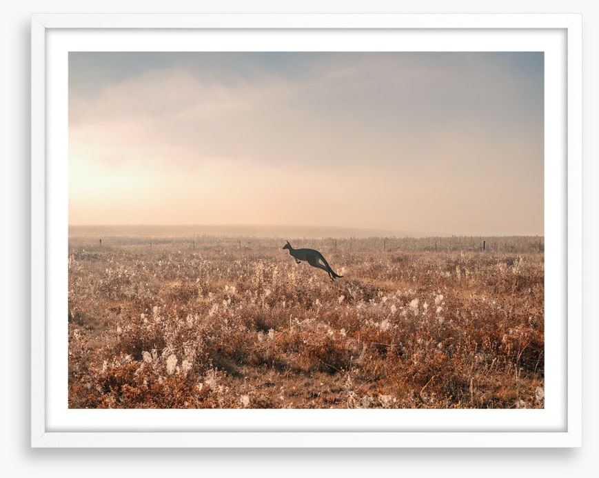 Boundless plains