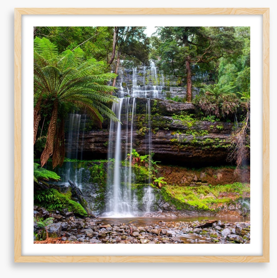 Russell Falls Creek