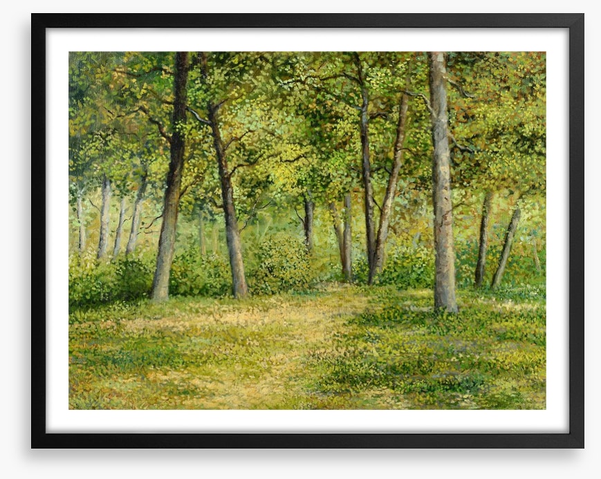 Forest fringe