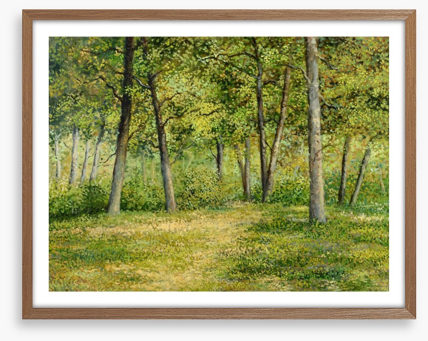 Forest fringe