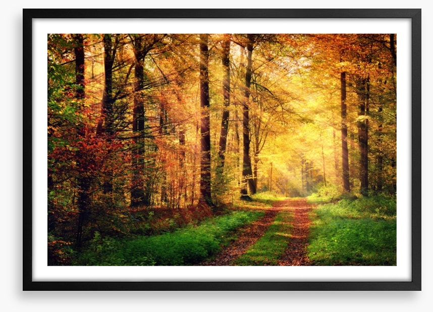 Where autumn takes you