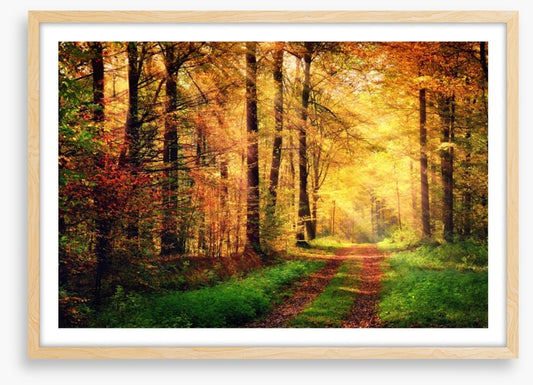 Where autumn takes you