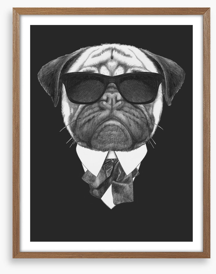 Suave pug