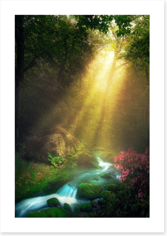 Magical morning stream