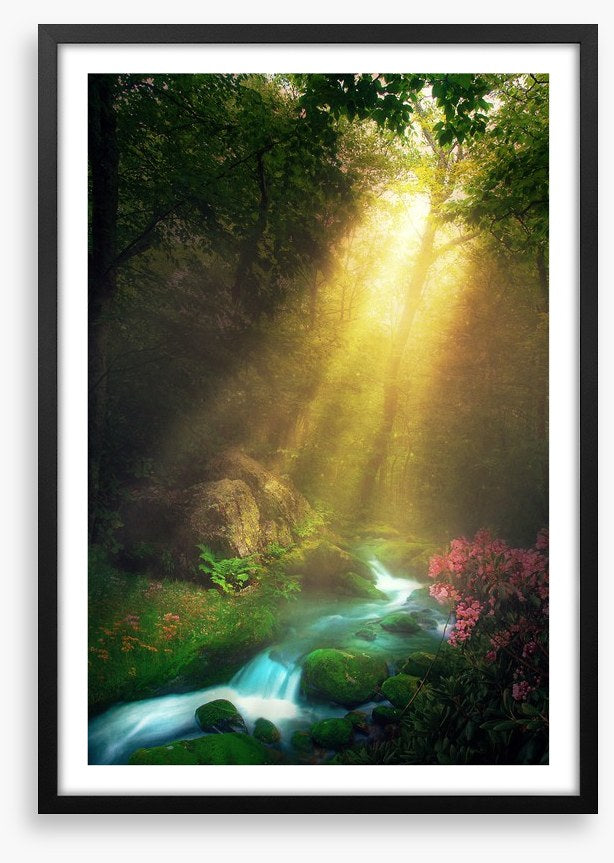 Magical morning stream