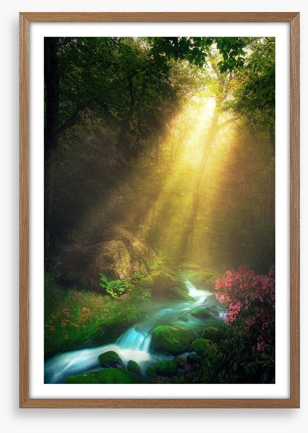 Magical morning stream