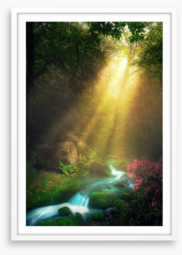 Magical morning stream