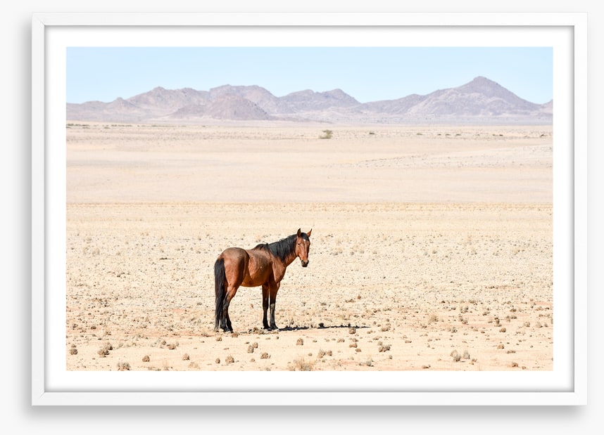 Lost in the desert