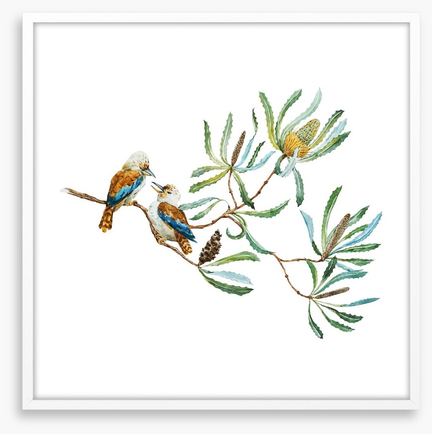 Kookaburra grove