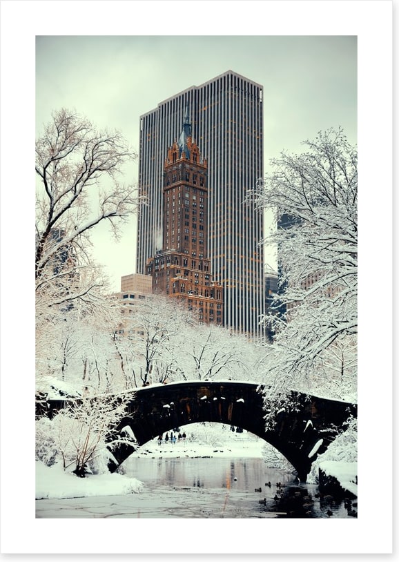 Central Park chill