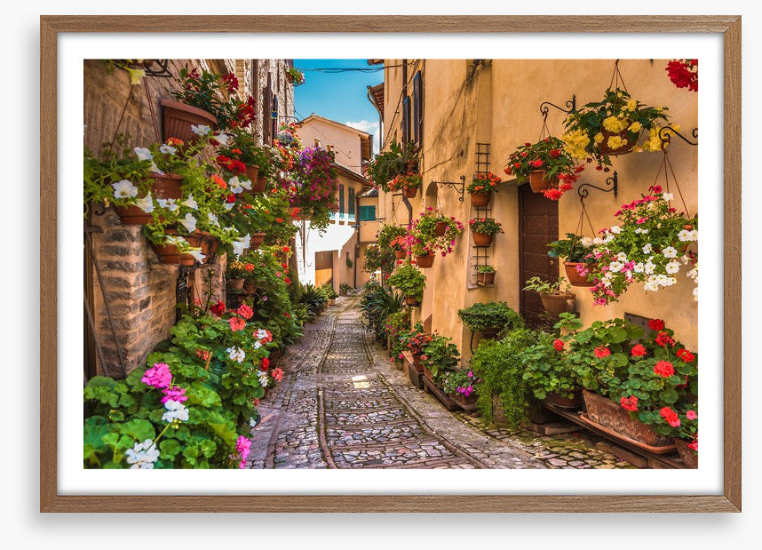 Floral alley in Umbria, Italy
