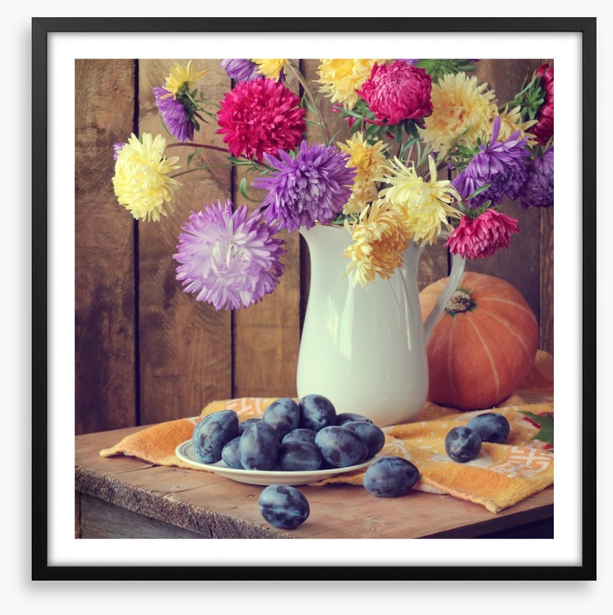 Still Life