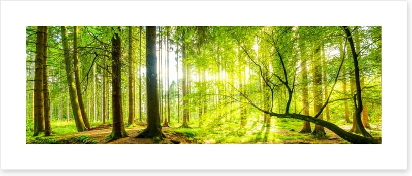 Green beams panorama