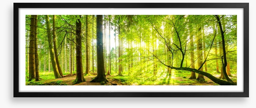 Green beams panorama