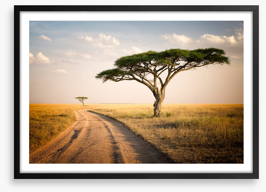 Africa
