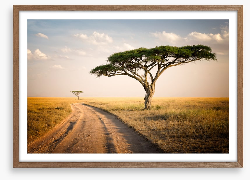 Africa