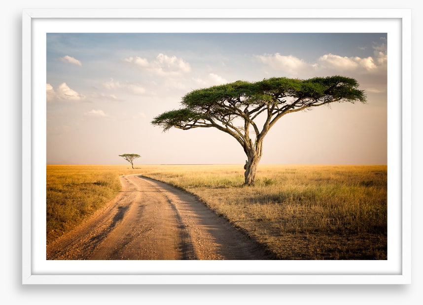 Africa