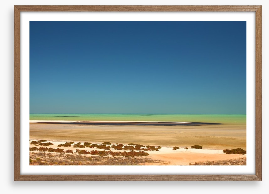 Shark Bay summer