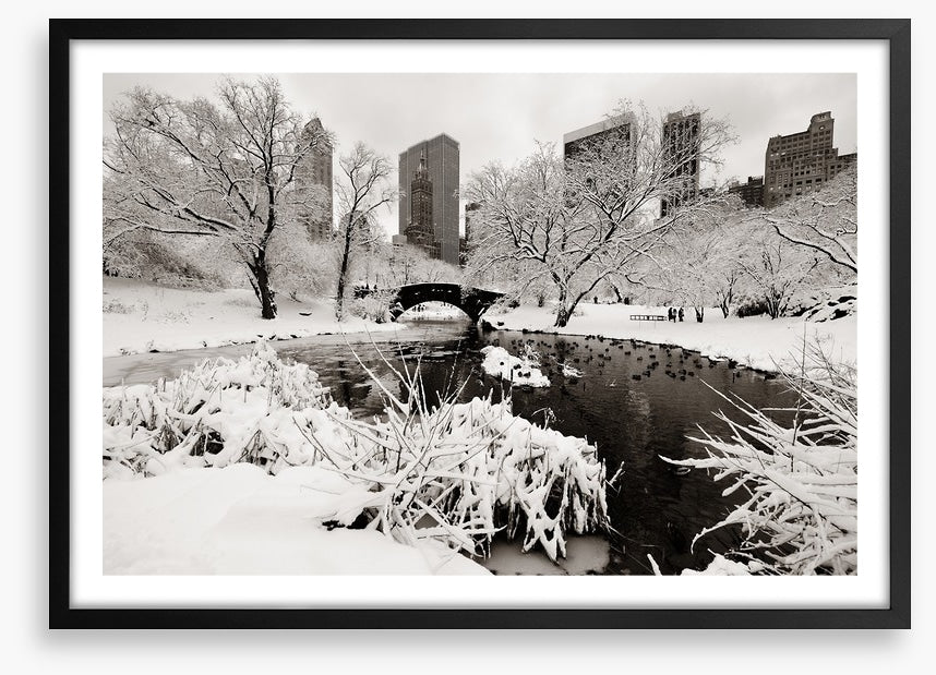 After the snowstorm
