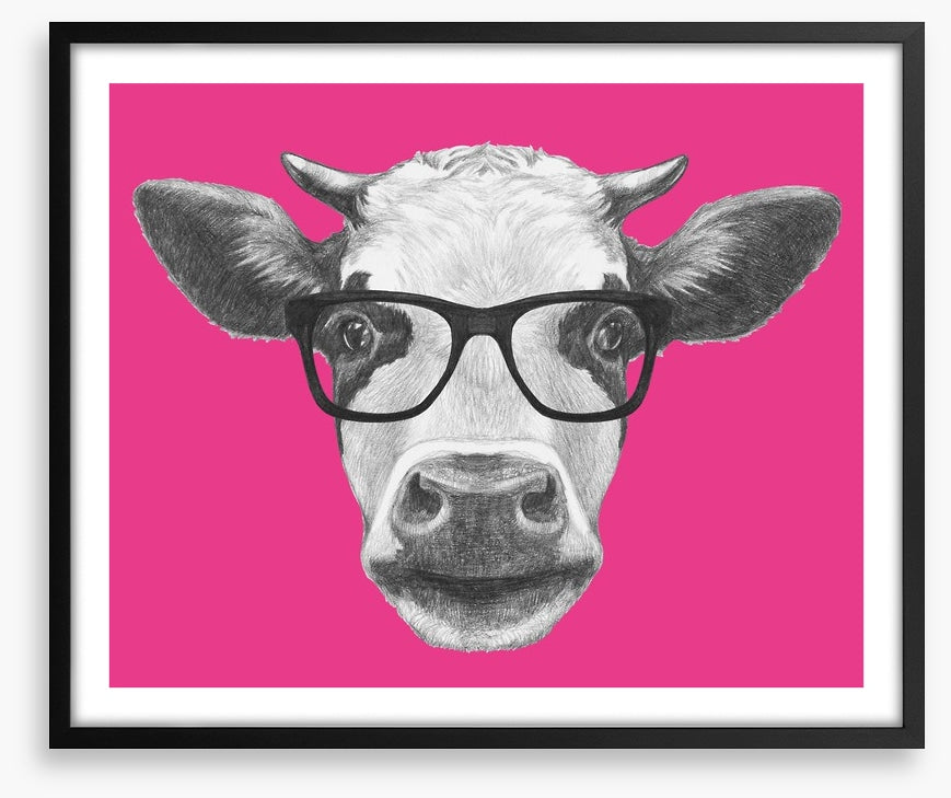 Too cool for moo