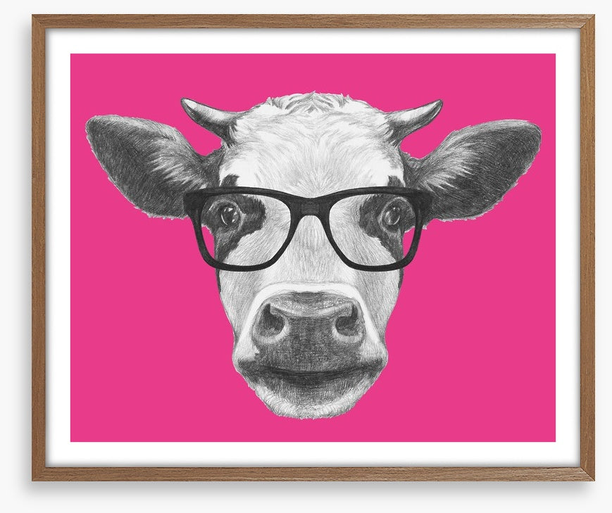 Too cool for moo