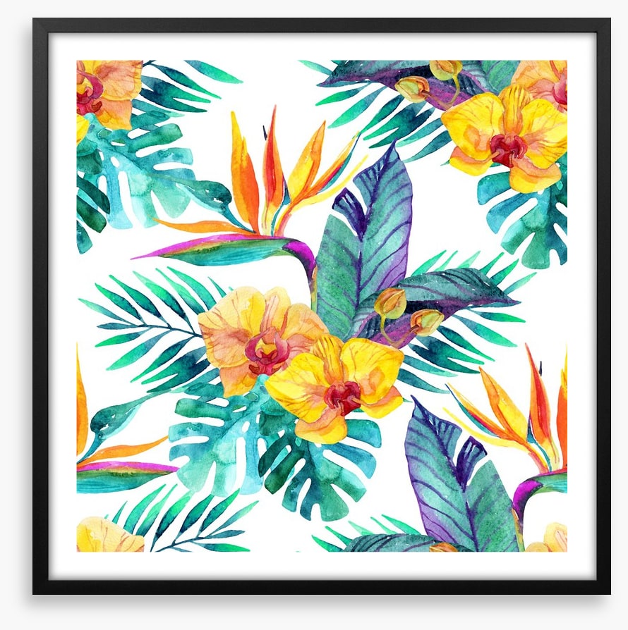 Orchid paradise leaves