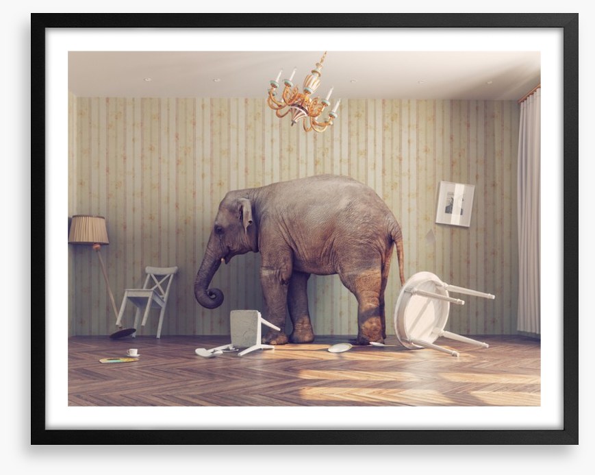 Elephant in the room