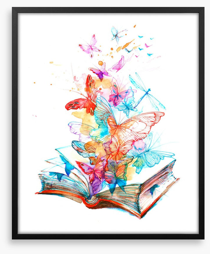 The butterfly book