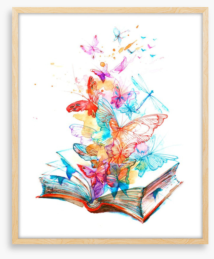 The butterfly book