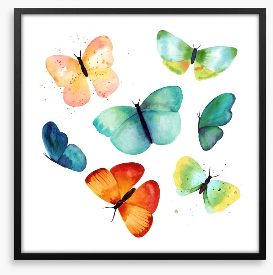Butterflies
