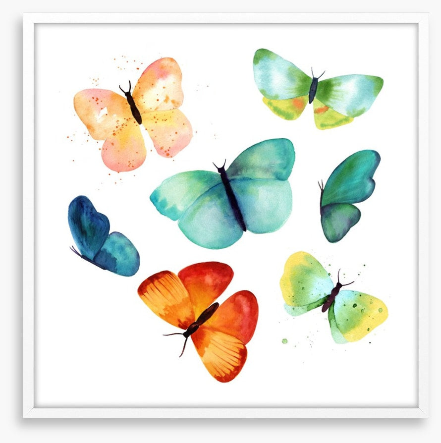 Butterflies