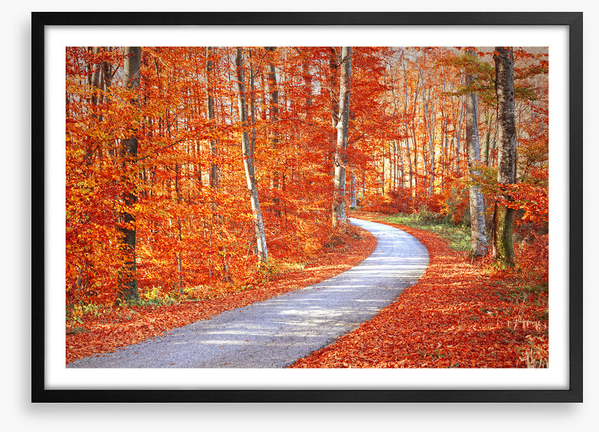 Autumn embers