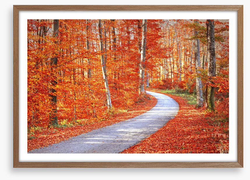 Autumn embers