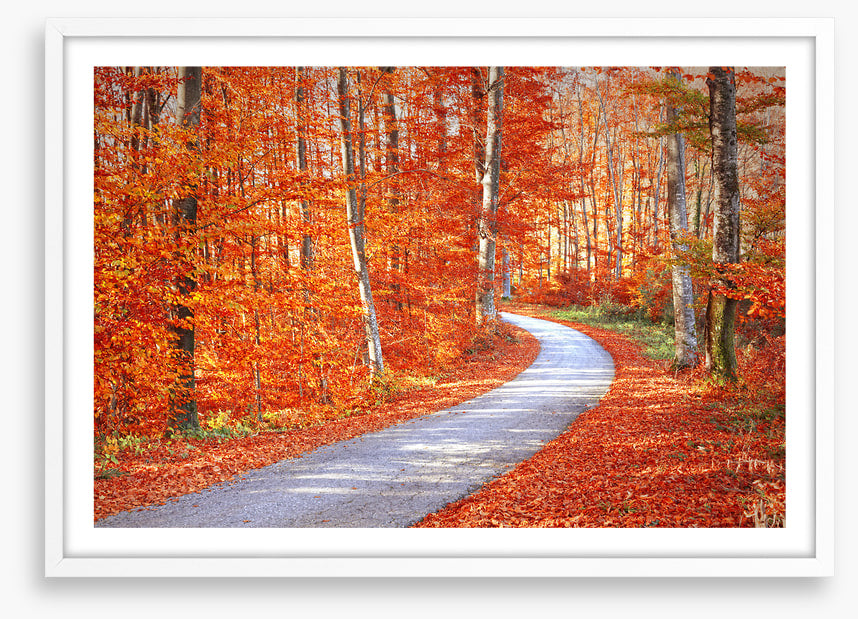 Autumn embers