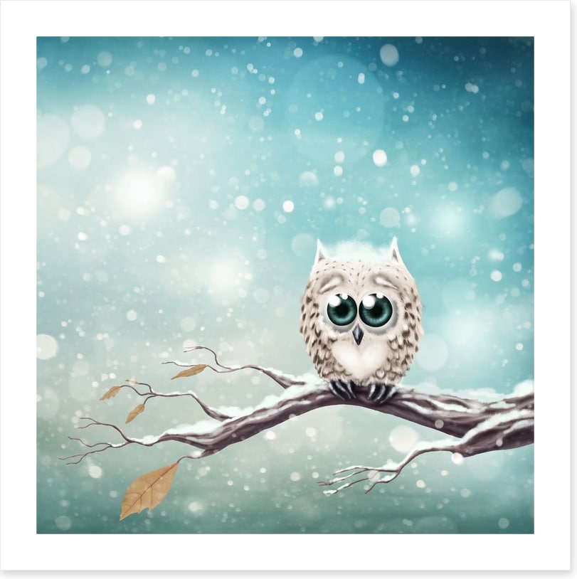 Little snow owl