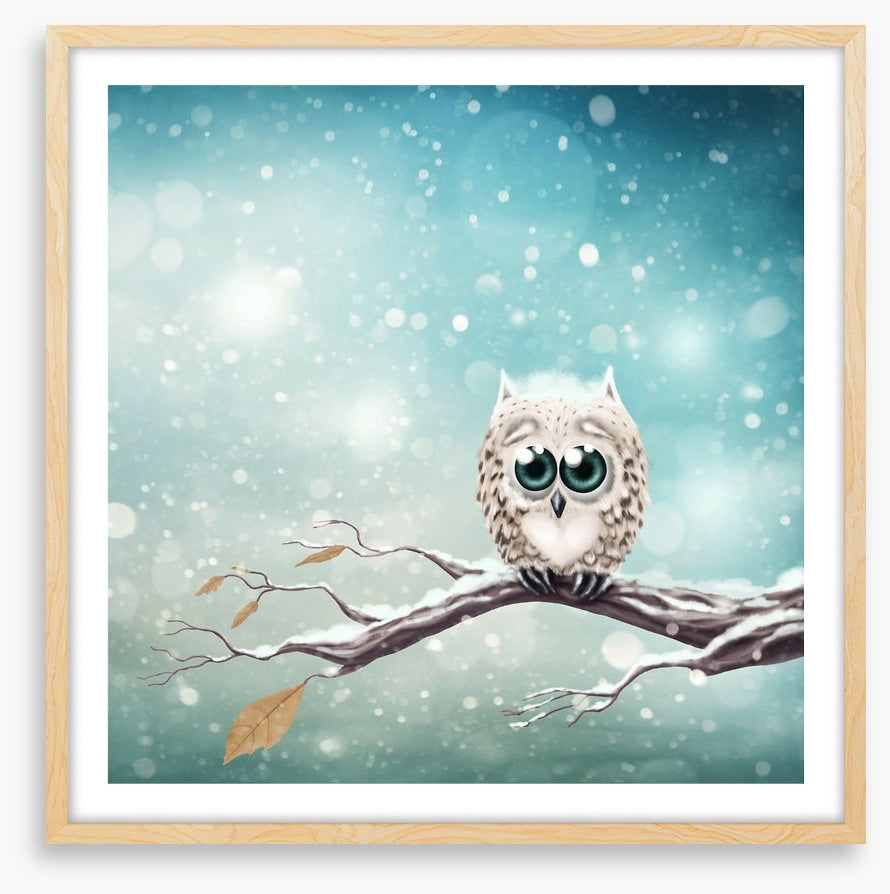 Little snow owl
