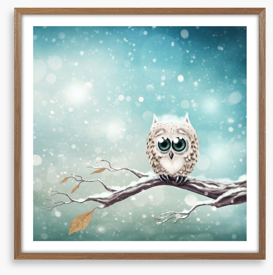 Little snow owl