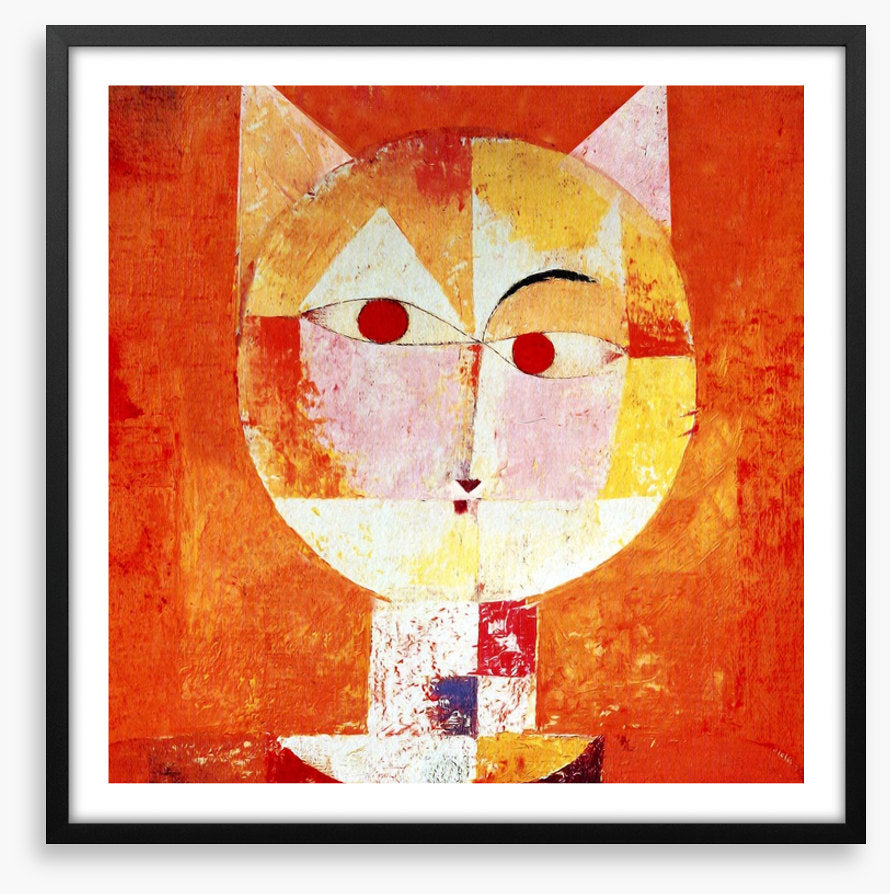 The orange cat