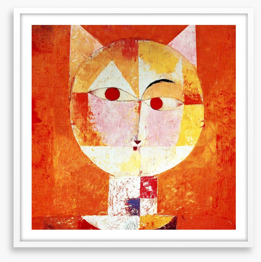 The orange cat