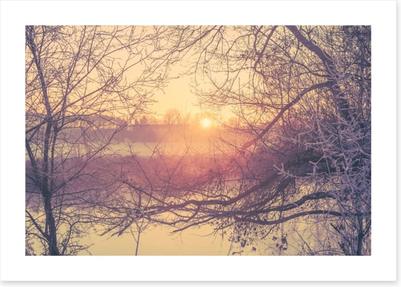 Glacé branch sunrise