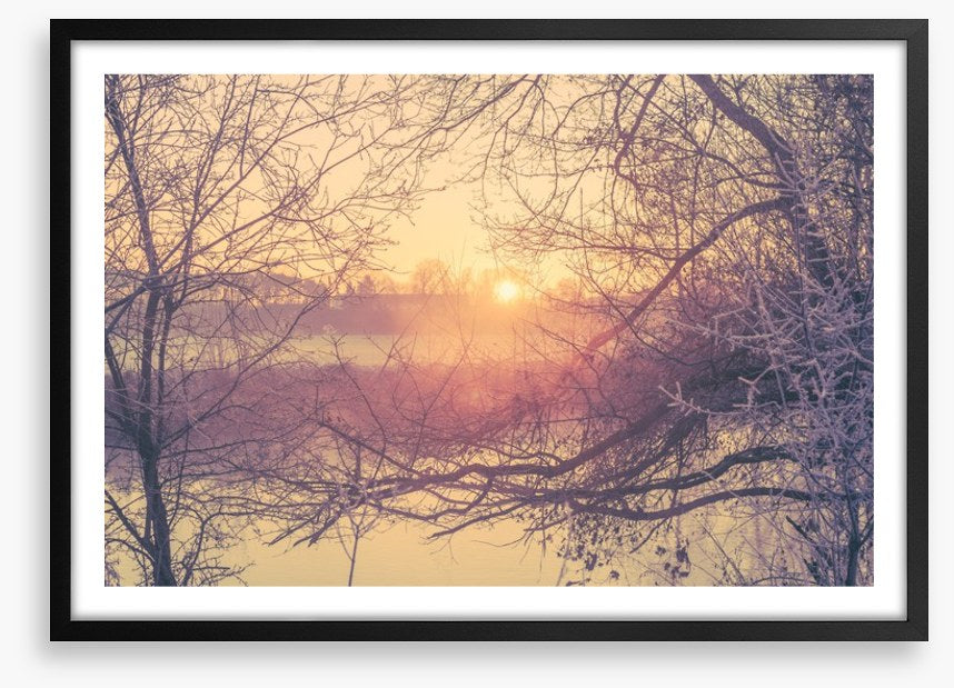 Glacé branch sunrise