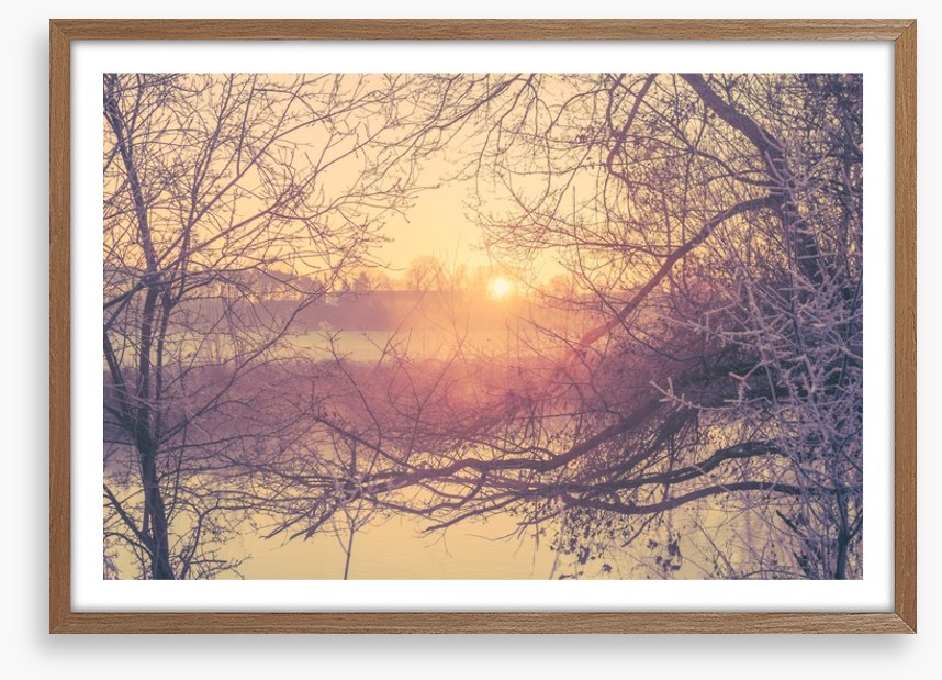 Glacé branch sunrise