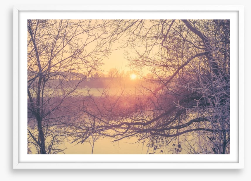 Glacé branch sunrise