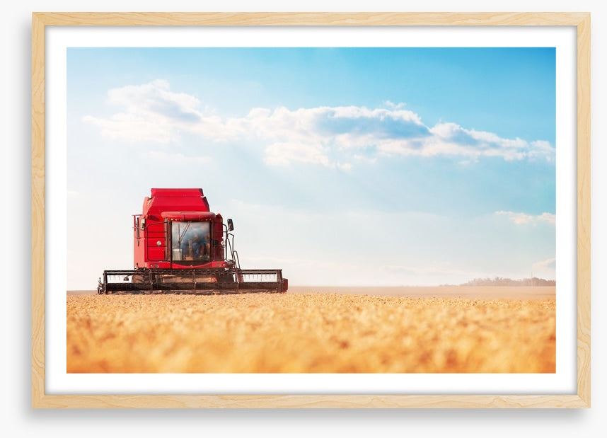 Agriculture