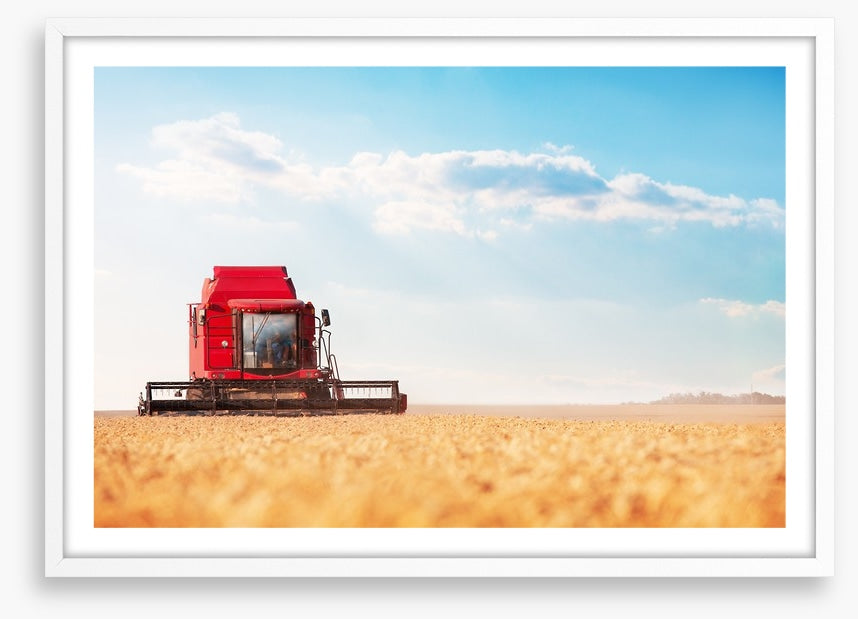 Agriculture