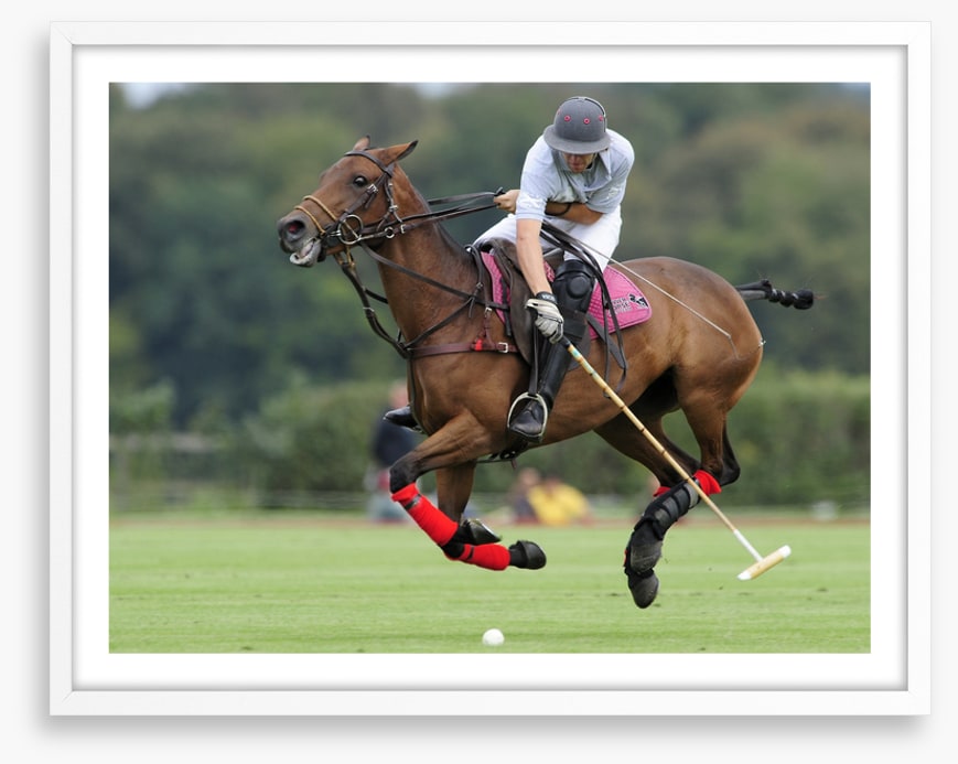 Sports