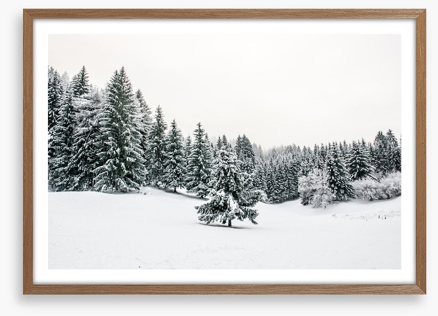 A lonely landscape