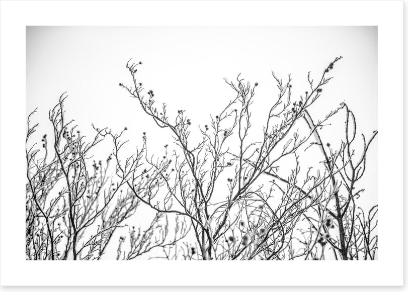 A touch of frost