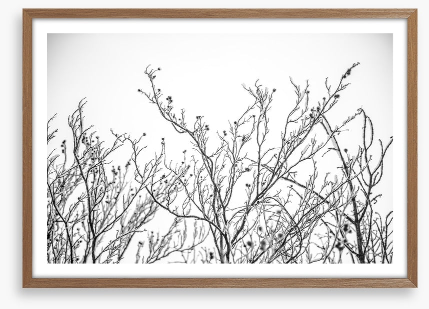A touch of frost