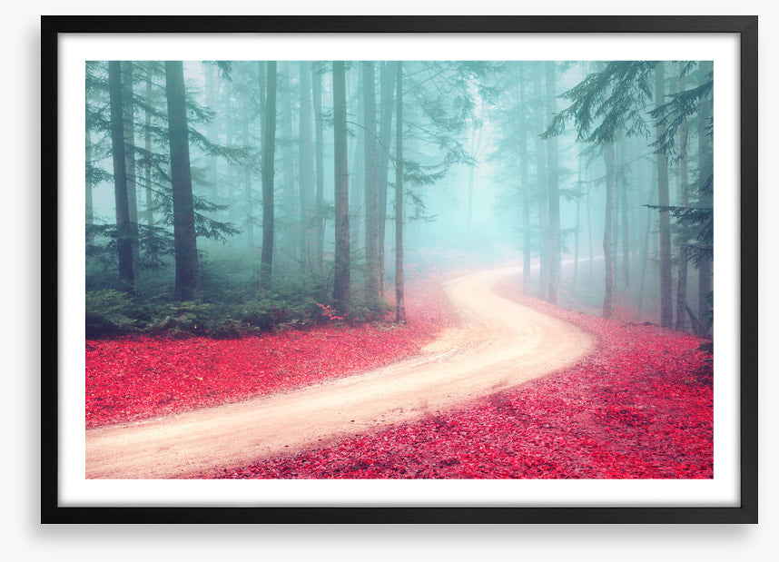 Forests